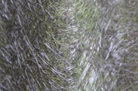 Cotesbach fibreglass roof work